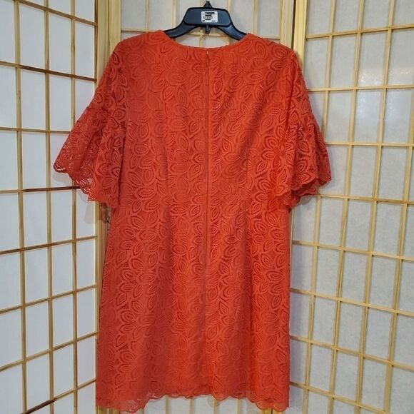Ann Taylor Lace Ruffle Sleeve Dress Sz 10 - Picture 7 of 8